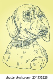 dog hand drawn realistic vector illustrations stylized engraving