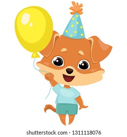 Dog with hanging ears in a holiday cap, T-shirt, shorts, holding a balloon in his hand. Color image of a pet. Vector illustration for design, print on t-shirt, bag, notebook, card.