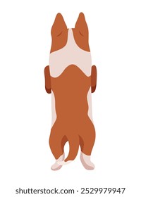 Perro colgando en la frontera. Vista trasera de cuerpo completo. Diseño de Vector plano