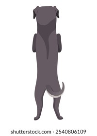 Perro colgando en la frontera. Vista trasera de cuerpo completo. Diseño de Vector plano