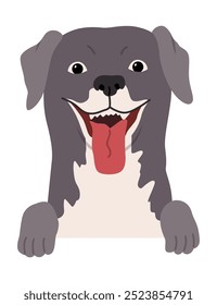 Dog hanging on border. Portrait of muzzles with paws. Front view. Flat vector design