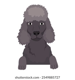 Dog hanging on border. Portrait of muzzles with paws. Front view. Flat vector design