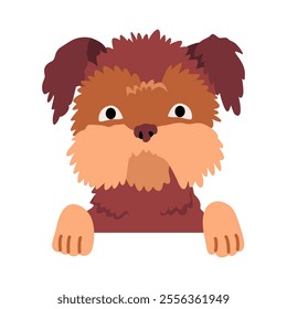 Dog hanging on border. Portrait of muzzles with paws. Front view. Flat vector design