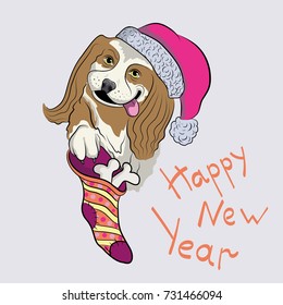 The dog is happy to wear the gift. Puppy in Christmas cap holds the bone. Drawn vector card.