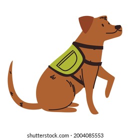 Dog With Harness Vest Pet Animal