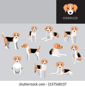 Dog Harrier Cartoon Vector Illustration Color Variation Set