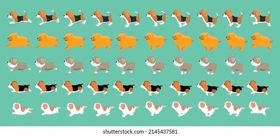 Dog Harrier Chow Chow Bulldog Basset Hound Shih Tzu Walking Running Cartoon Vector Set