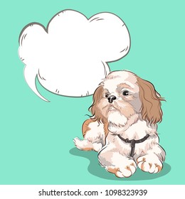 The dog has a background with a word box.