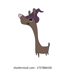 Dog with a hat, vector design for banner, poster, greeting card, party invitation.Traditional element of Halloween. Vector illustration.