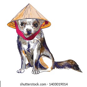 
The dog in the hat. Vietnamese hat. Cute colorful drawing.