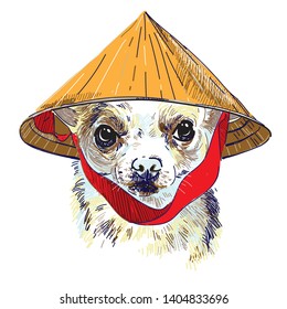 
The dog in the hat. Vietnamese hat. Cute colorful drawing.
