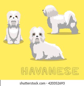 Dog Havanese Cartoon Vector Illustration