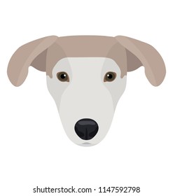 
A dog having unusual ears and small tiny eyes, labrador retriever 
