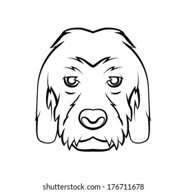 Dog Head