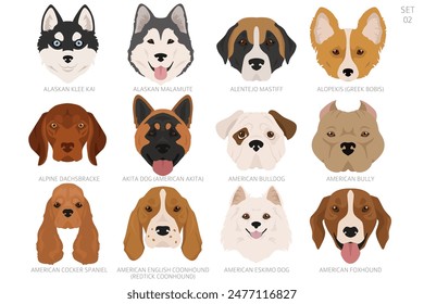 Dog head in alphabet order. All dog breeds. Colour vector design. Vector illustration