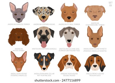 Dog head in alphabet order. All dog breeds. Colour vector design. Vector illustration