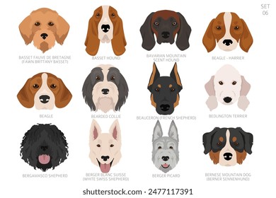 Cabeza de perro en orden alfabético. Todas las razas de perros. Diseño de Vector de color. Ilustración vectorial