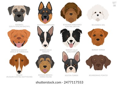 Dog head in alphabet order. All dog breeds. Colour vector design. Vector illustration