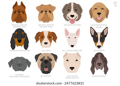 Dog head in alphabet order. All dog breeds. Colour vector design. Vector illustration