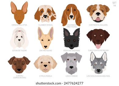 Dog head in alphabet order. All dog breeds. Colour vector design. Vector illustration