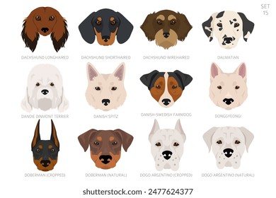 Dog head in alphabet order. All dog breeds. Colour vector design. Vector illustration