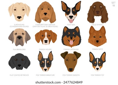 Dog head in alphabet order. All dog breeds. Colour vector design. Vector illustration