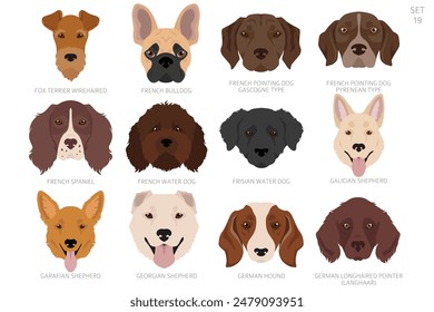 Dog head in alphabet order. All dog breeds. Colour vector design. Vector illustration