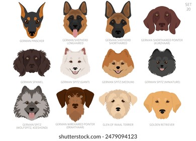 Dog head in alphabet order. All dog breeds. Colour vector design. Vector illustration