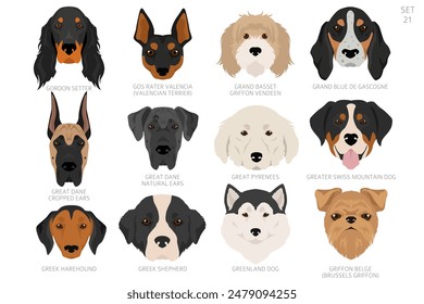 Dog head in alphabet order. All dog breeds. Colour vector design. Vector illustration