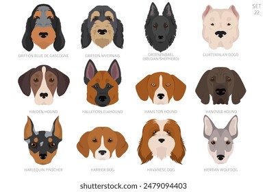 Dog head in alphabet order. All dog breeds. Colour vector design. Vector illustration