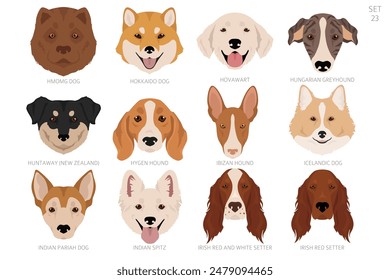 Dog head in alphabet order. All dog breeds. Colour vector design. Vector illustration