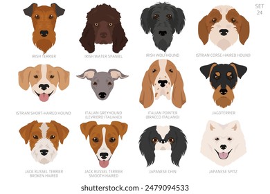 Dog head in alphabet order. All dog breeds. Colour vector design. Vector illustration