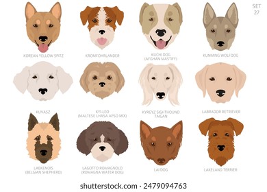 Dog head in alphabet order. All dog breeds. Colour vector design. Vector illustration