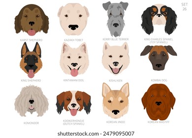 Dog head in alphabet order. All dog breeds. Colour vector design. Vector illustration