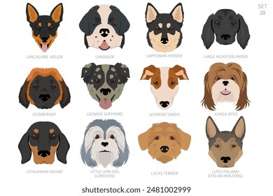 Dog head in alphabet order. All dog breeds. Colour vector design. Vector illustration