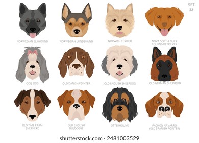 Dog head in alphabet order. All dog breeds. Colour vector design. Vector illustration