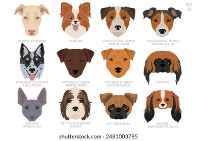 Dog head in alphabet order. All dog breeds. Colour vector design. Vector illustration