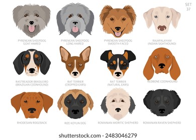 Dog head in alphabet order. All dog breeds. Colour vector design. Vector illustration