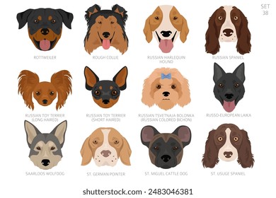 Dog head in alphabet order. All dog breeds. Colour vector design. Vector illustration