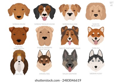 Cabeza de perro en orden alfabético. Todas las razas de perros. Diseño de Vector de color. Ilustración vectorial