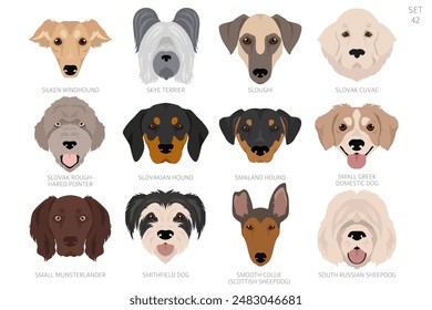 Dog head in alphabet order. All dog breeds. Colour vector design. Vector illustration