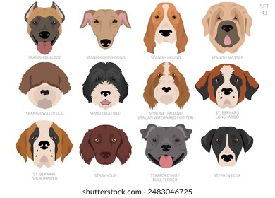 Dog head in alphabet order. All dog breeds. Colour vector design. Vector illustration