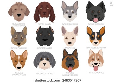 Dog head in alphabet order. All dog breeds. Colour vector design. Vector illustration