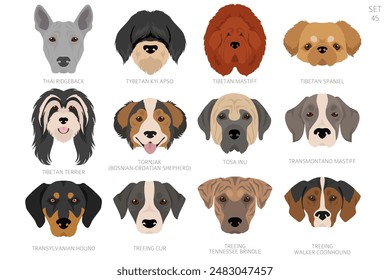 Dog head in alphabet order. All dog breeds. Colour vector design. Vector illustration