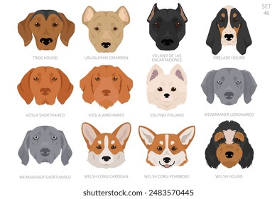 Dog head in alphabet order. All dog breeds. Colour vector design. Vector illustration