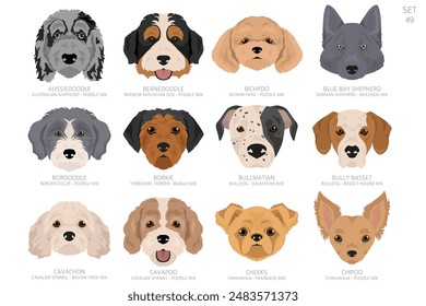 Cabeza de perro en orden alfabético. Todas las razas de perros. Diseño de Vector de color. Ilustración vectorial