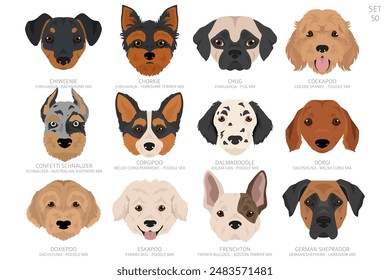 Cabeza de perro en orden alfabético. Todas las razas de perros. Diseño de Vector de color. Ilustración vectorial