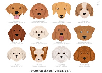 Dog head in alphabet order. All dog breeds. Colour vector design. Vector illustration