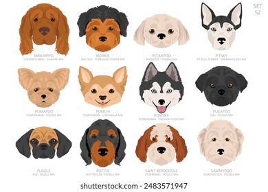 Cabeza de perro en orden alfabético. Todas las razas de perros. Diseño de Vector de color. Ilustración vectorial