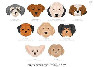 Dog head in alphabet order. All dog breeds. Colour vector design. Vector illustration